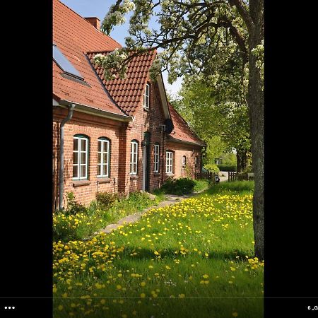 Landhaus Hohenfelde Hohenfelde  Eksteriør billede